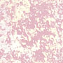 蛋壳光·玛曼露系列